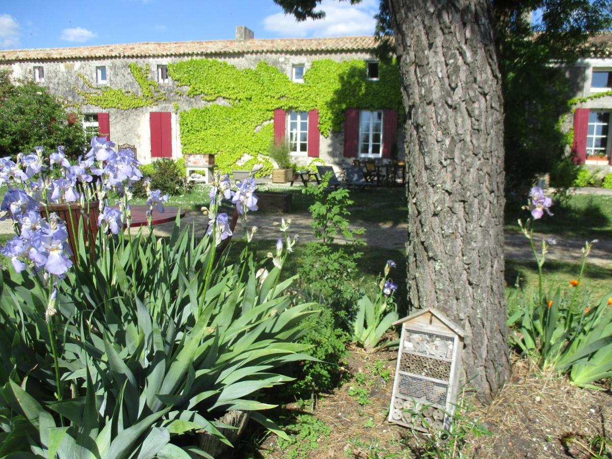 Logis De Bois Roche Villa Saint-Bonnet-sur-Gironde Exterior photo